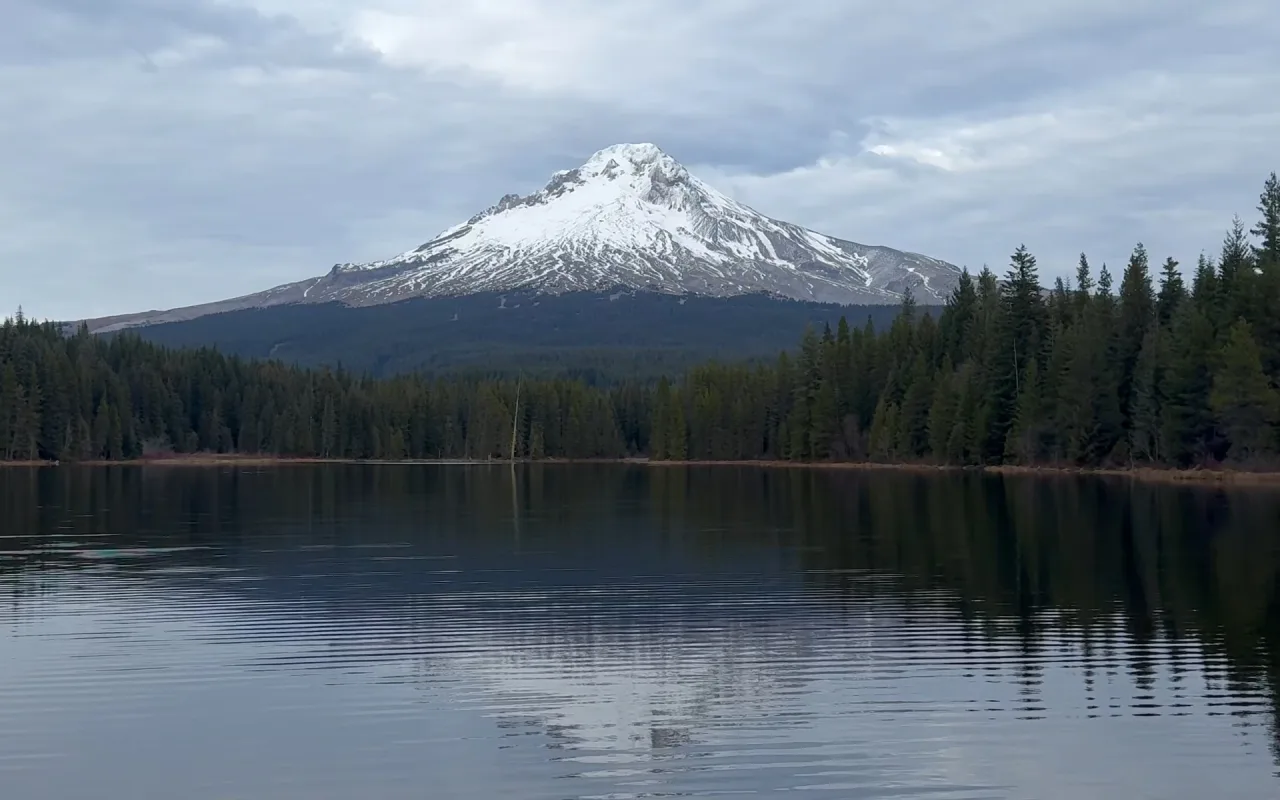 Mt. Hood live wallpaper preview