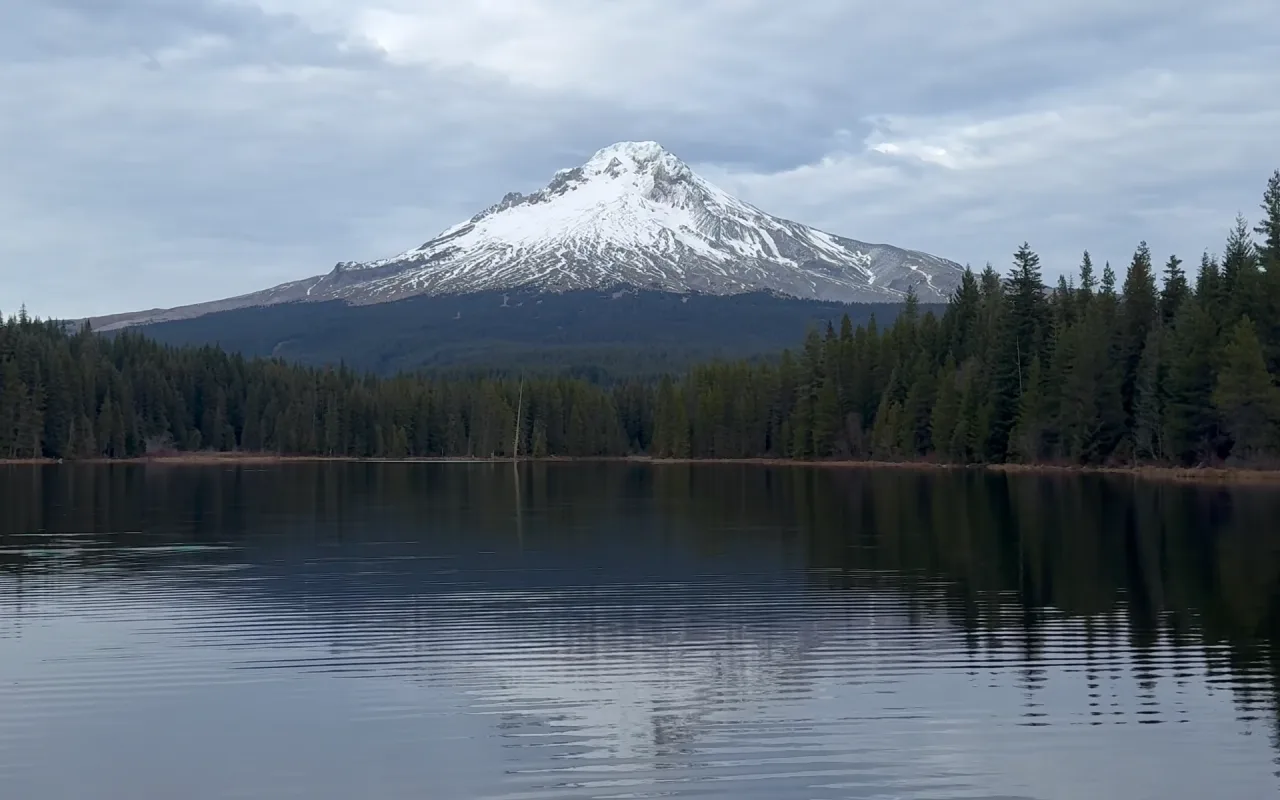 Mt. Hood live wallpaper preview