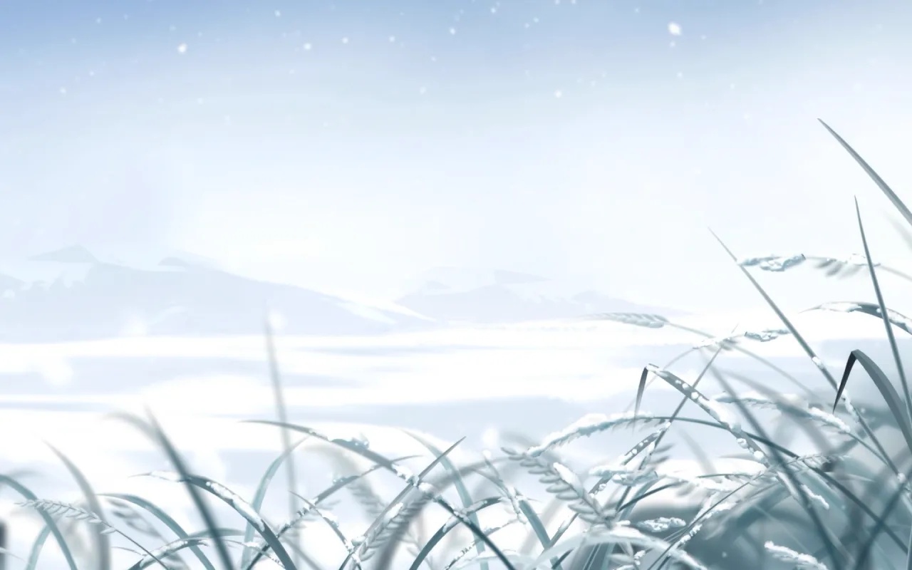 Snow Field live wallpaper preview