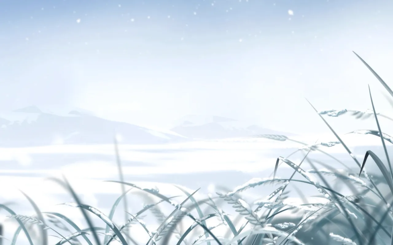 Snow Field live wallpaper preview