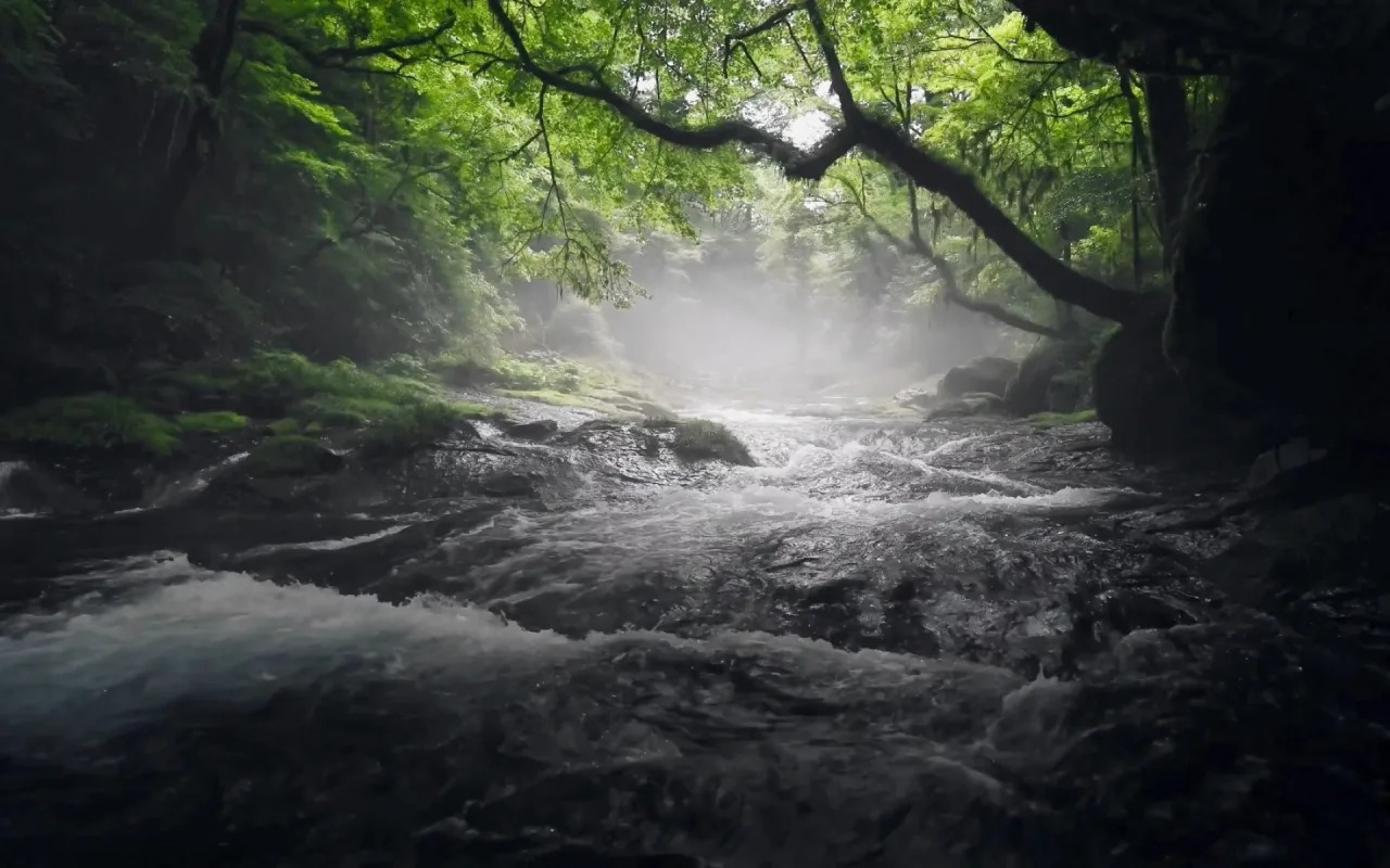Secluded Stream live wallpaper preview