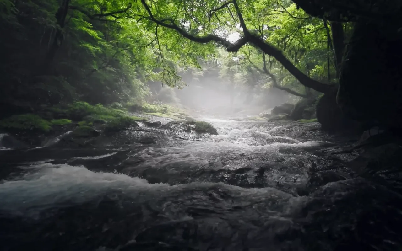Secluded Stream live wallpaper preview