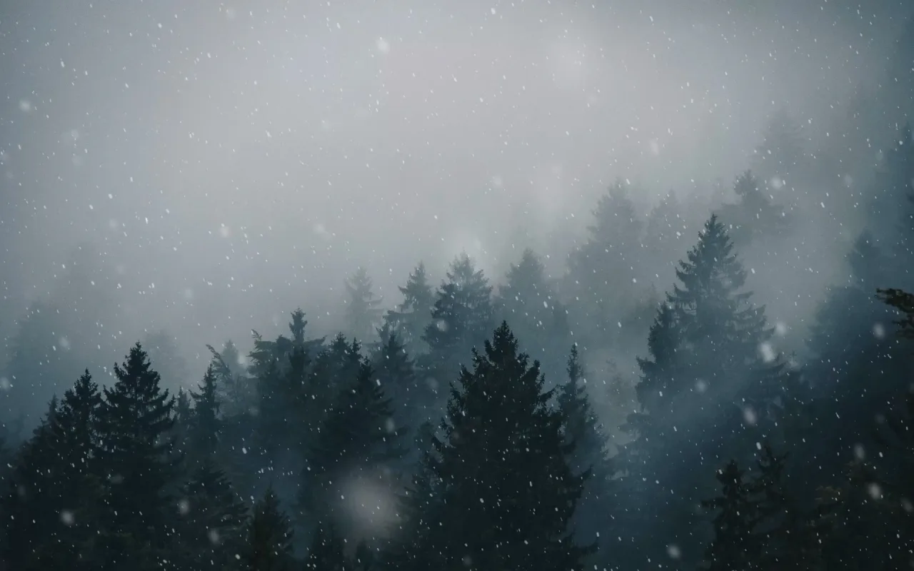 Snowfall in Forest live wallpaper preview